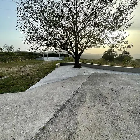 La Casa Nel Bosco